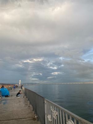 タチウオ調査！F2.5