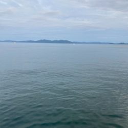 久々のタチウオ、、