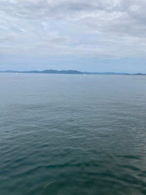 久々のタチウオ、、