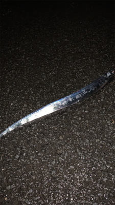 今年太刀魚初釣行