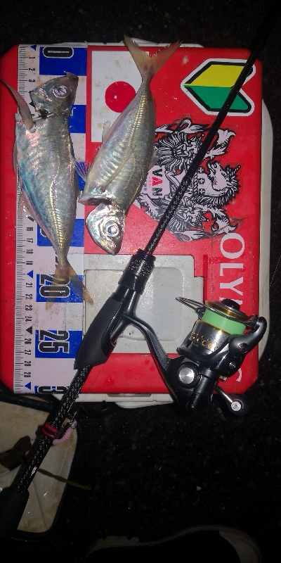 アジング練習　316