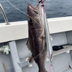 中深海スロージギング