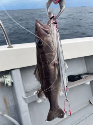 中深海スロージギング