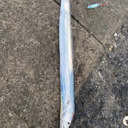 ひらひらひらひら