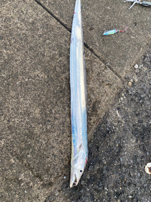 ひらひらひらひら