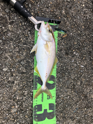 ショアジギングの旅1