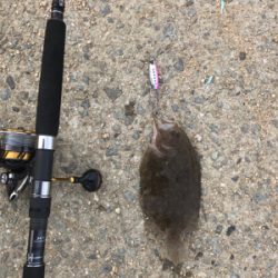 ショアジギングの旅2
