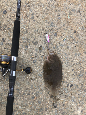 ショアジギングの旅2