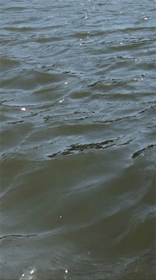 青物の活性高い日でした