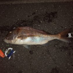 初ぶっ込み釣りでまさかの大物！