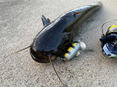 会社帰りにハンドメイドルアーでナマジング