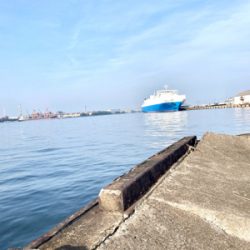 小サバを楽しみました！