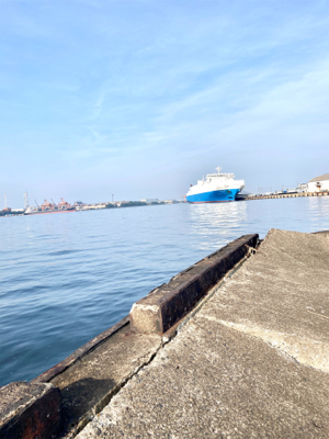 小サバを楽しみました！