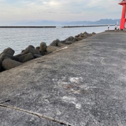 朝まづめのタチウオ釣り