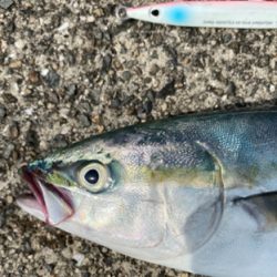 貴重なワンチャンスでした