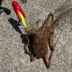 ⭐︎ラストスパート