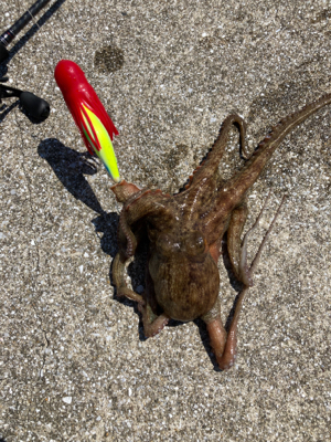 ⭐︎ラストスパート