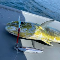 2馬力ボートで釣査