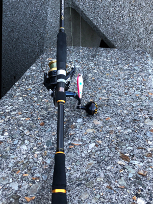 今年初タチウオ