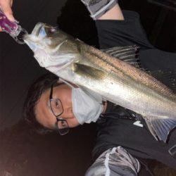 新河岸川　シーバス