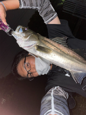 新河岸川　シーバス