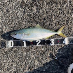 ショアジギング