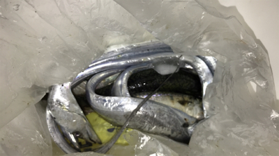 アジ、太刀魚つりにいっきました!