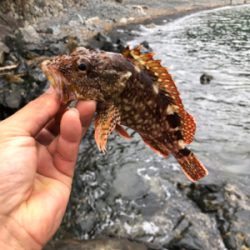 親父達の釣行 久しぶり編