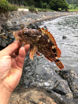 親父達の釣行 久しぶり編