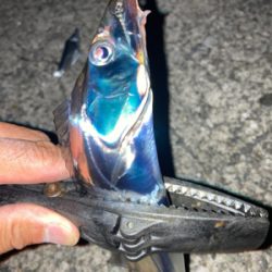 2021ライトゲーム第？戦