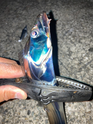 2021ライトゲーム第？戦