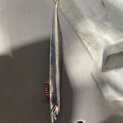 博多湾タチウオジギング