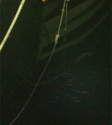 ベイトめっちゃ多い