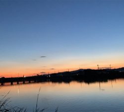 久々にバス釣りへ。今年初バス確保。