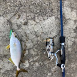 ライトショアキャスティング