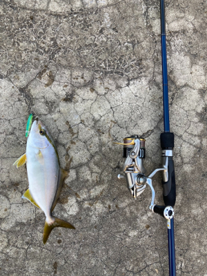 ライトショアキャスティング