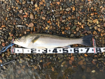 ど日中でもk2無限は強かった❗…