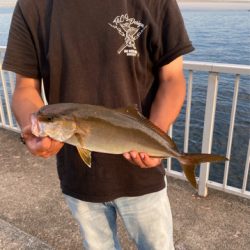 初めてのシオ君