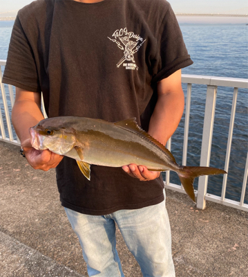 初めてのシオ君