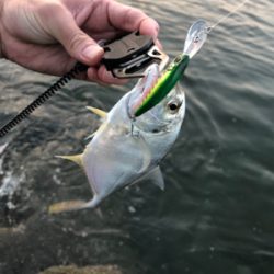 三浦半島メッキ開幕！