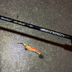 仕事帰りエギング