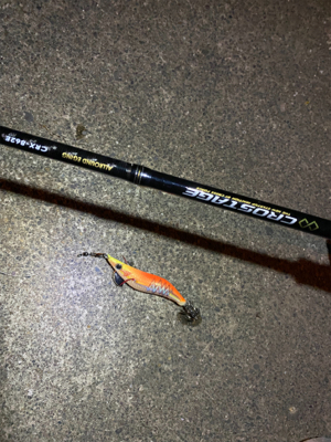 仕事帰りエギング