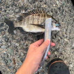 餌取りの先に…