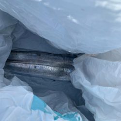 F5太刀魚にツバス