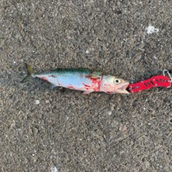 久しぶりの新波止