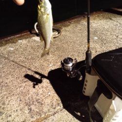 キッシング後のチーバシング？