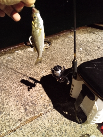 キッシング後のチーバシング？