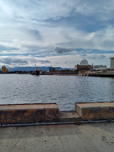 今年初のキビレ