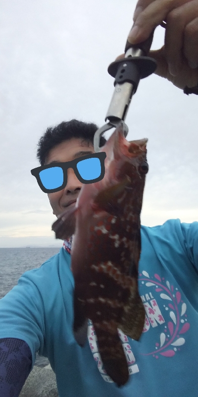 ゆうまづめショアジギでアコウ