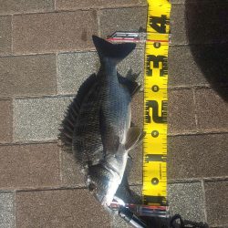 夕方2時間　～さざなみ公園～